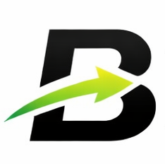 Brandlumeo Logo